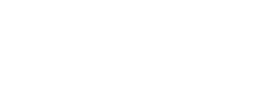 Velion